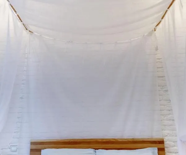 Romantic - Near Opera House 11/7 * Leópolis